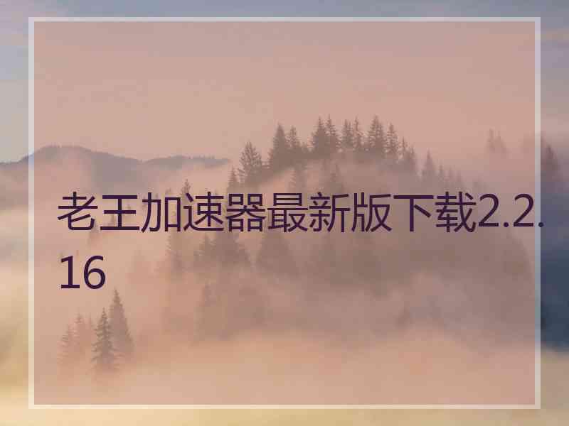 老王加速器最新版下载2.2.16