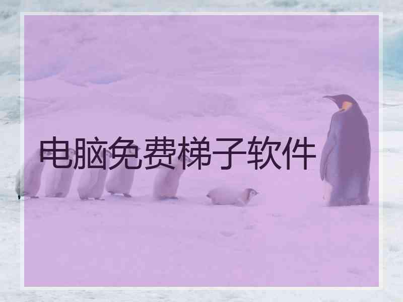 电脑免费梯子软件