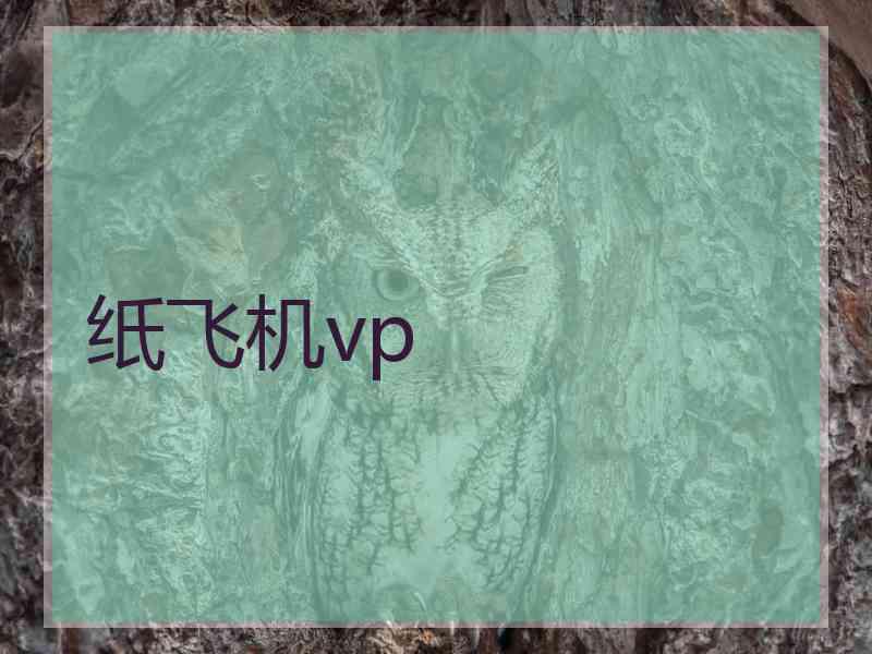纸飞机vp