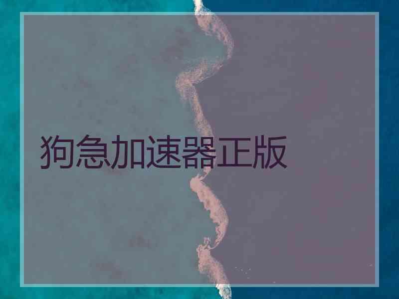 狗急加速器正版