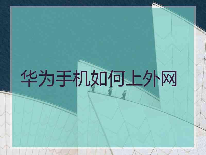 华为手机如何上外网