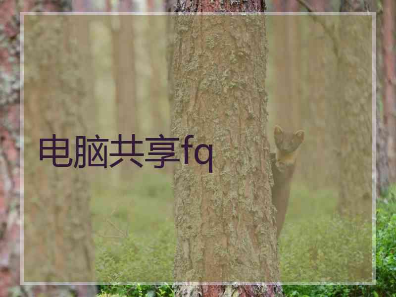 电脑共享fq