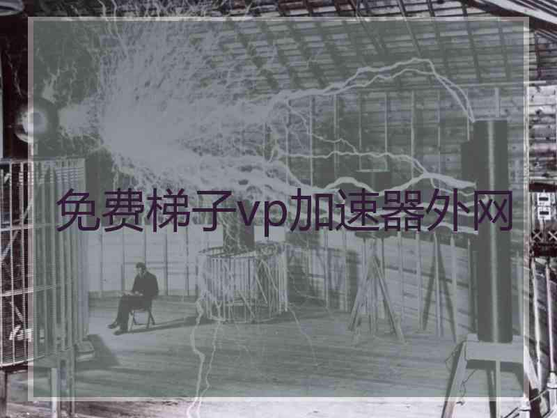 免费梯子vp加速器外网