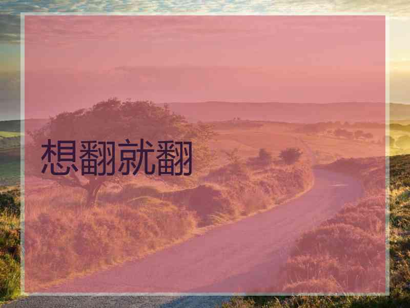 想翻就翻