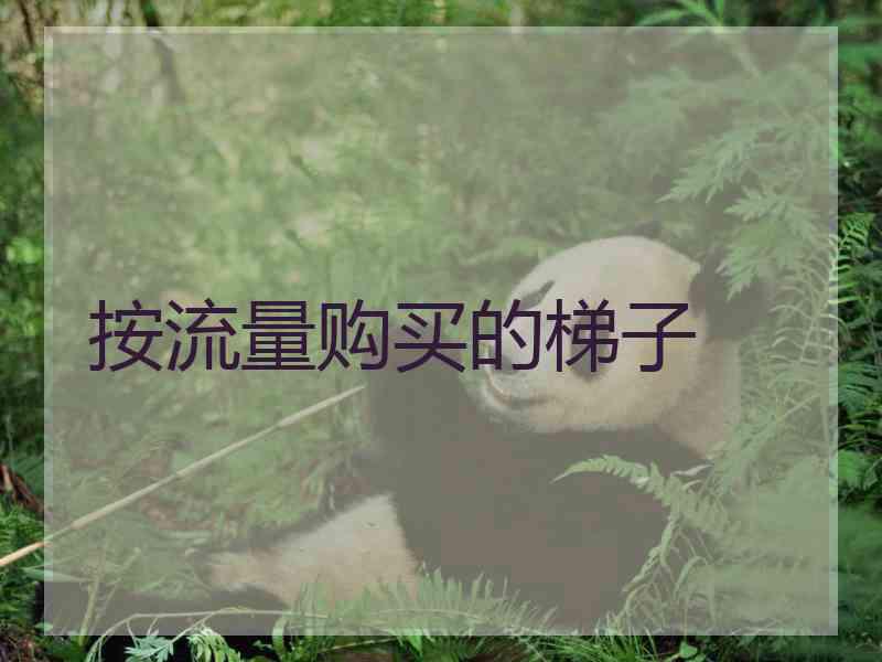 按流量购买的梯子