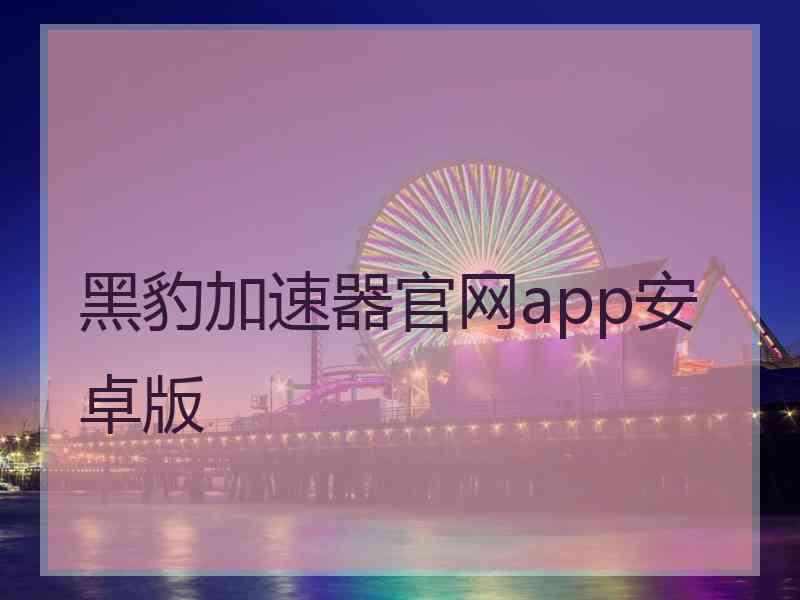 黑豹加速器官网app安卓版