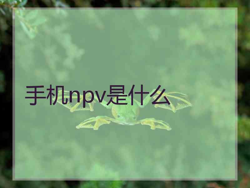 手机npv是什么