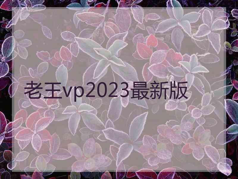 老王vp2023最新版