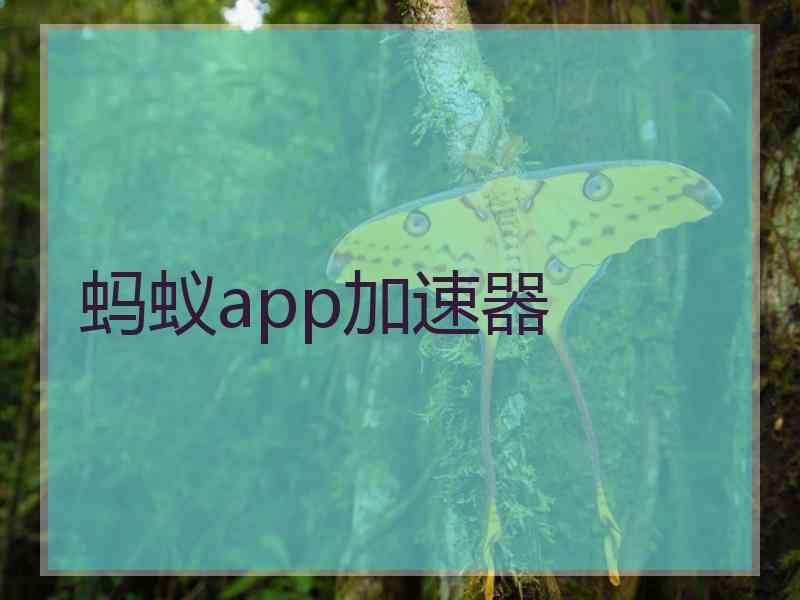 蚂蚁app加速器