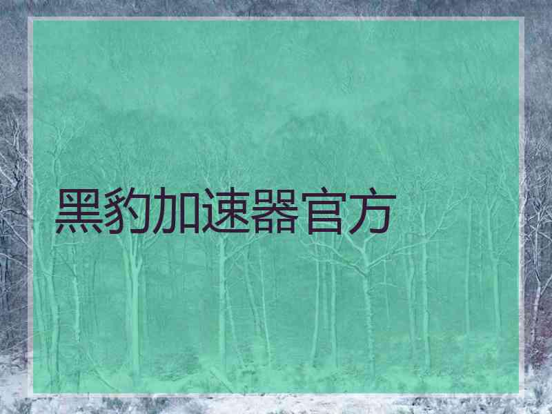 黑豹加速器官方