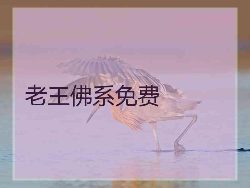 老王佛系免费