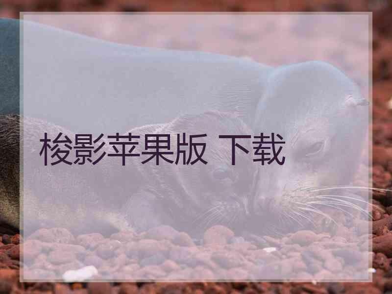 梭影苹果版 下载