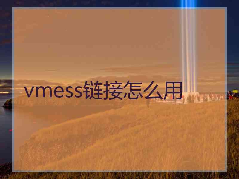 vmess链接怎么用