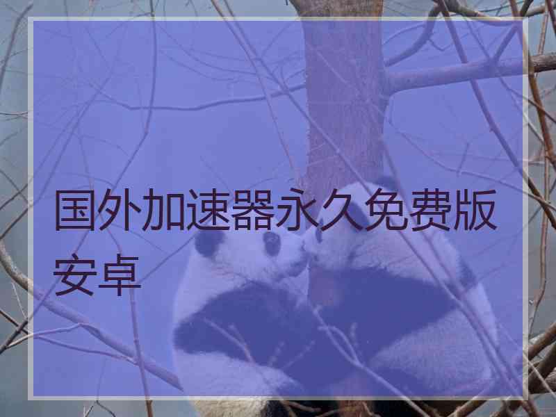 国外加速器永久免费版安卓
