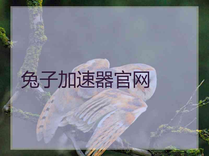 兔子加速器官网