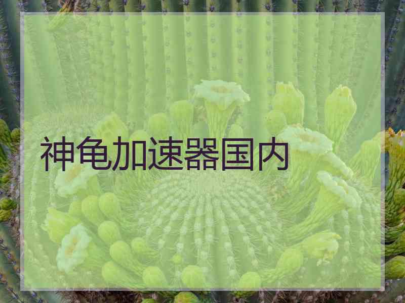 神龟加速器国内