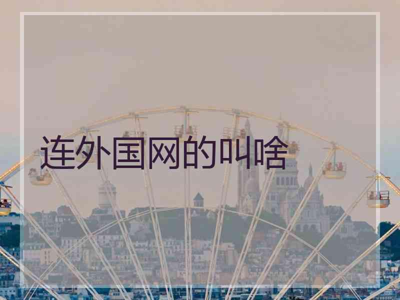 连外国网的叫啥