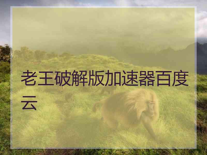 老王破解版加速器百度云