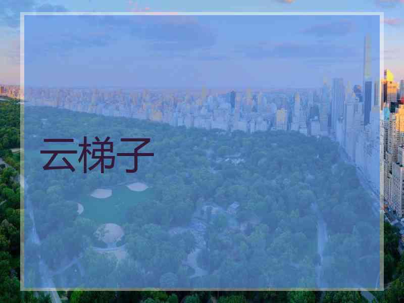 云梯子