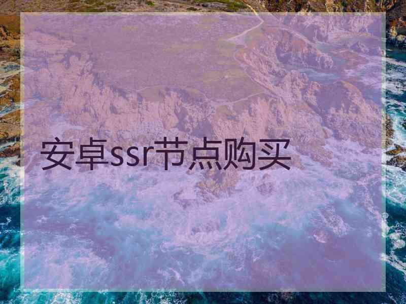 安卓ssr节点购买