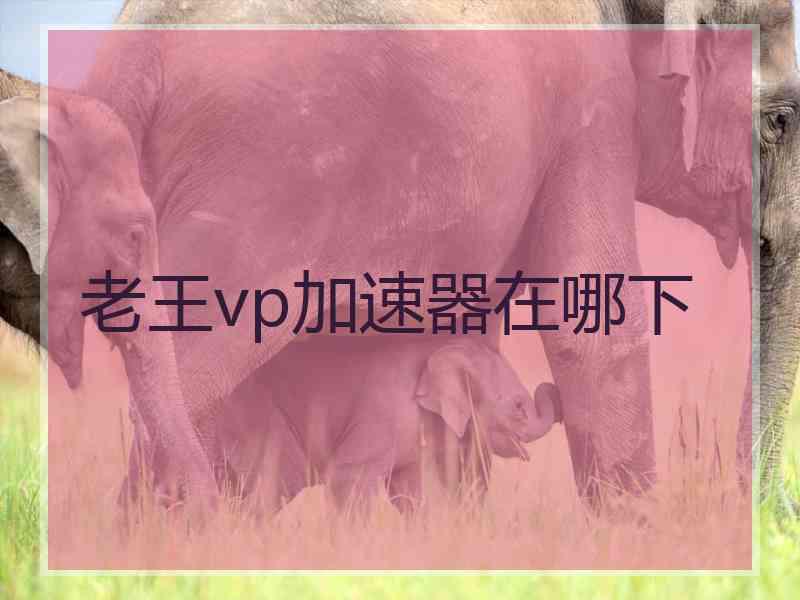 老王vp加速器在哪下