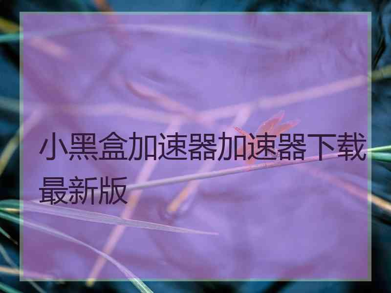 小黑盒加速器加速器下载最新版