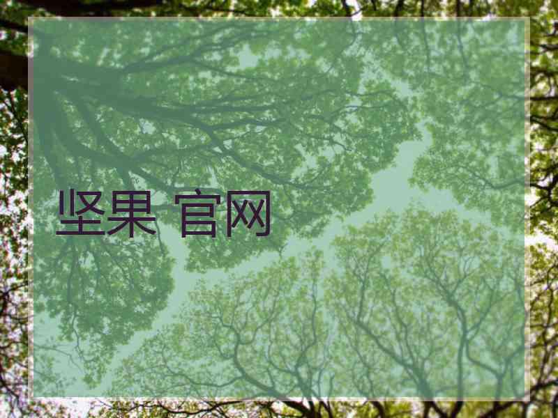坚果 官网