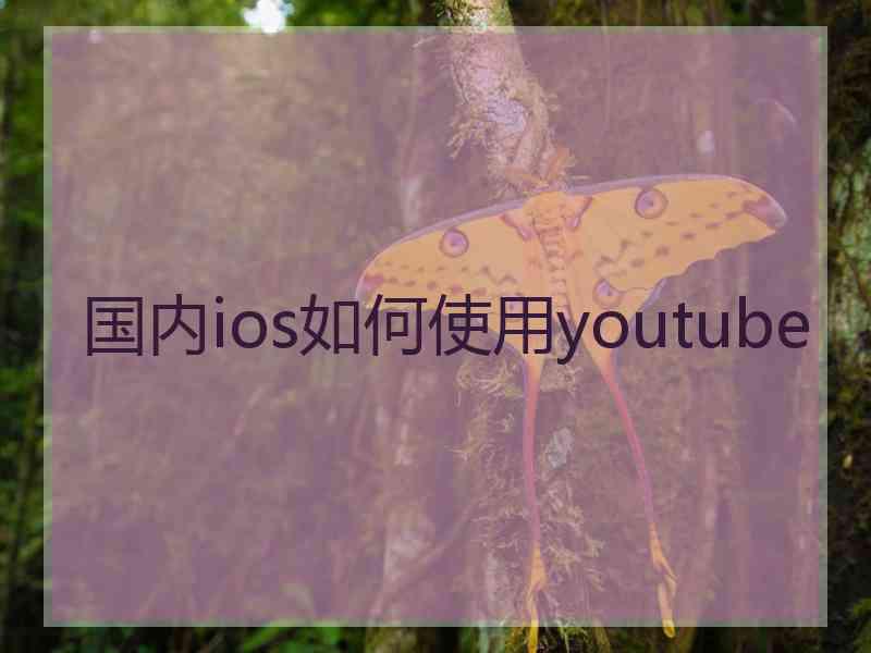 国内ios如何使用youtube