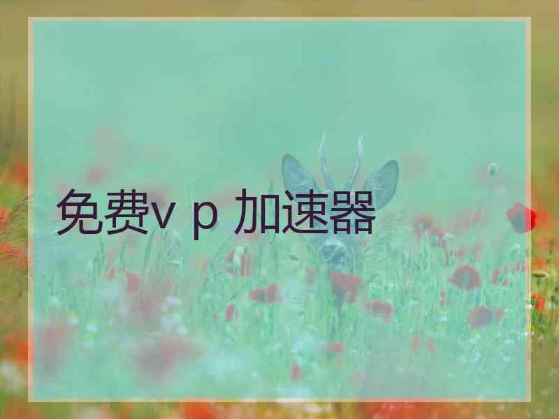 免费v p 加速器