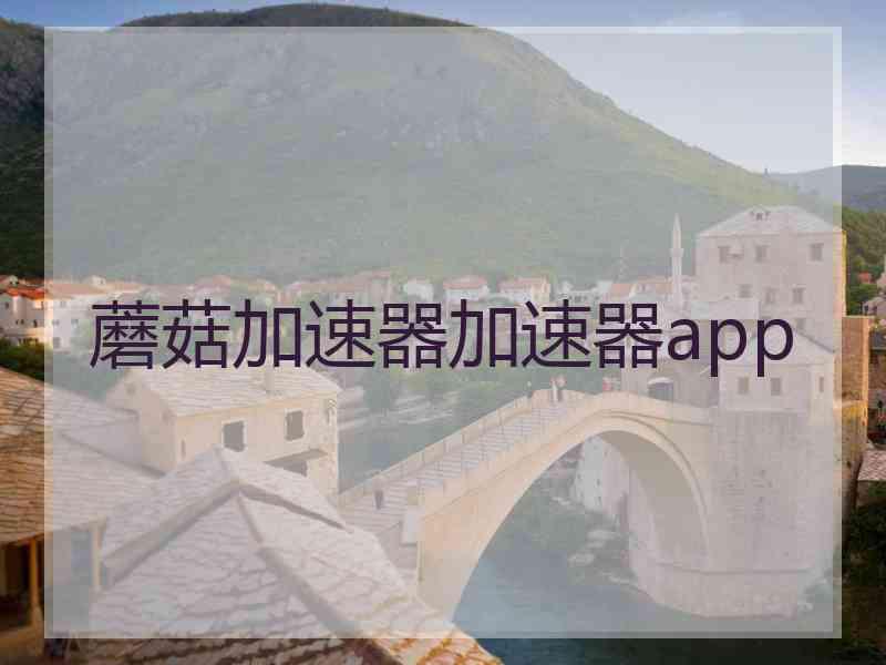 蘑菇加速器加速器app
