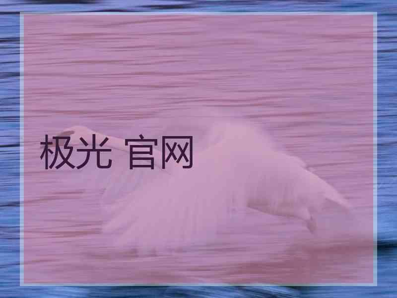 极光 官网
