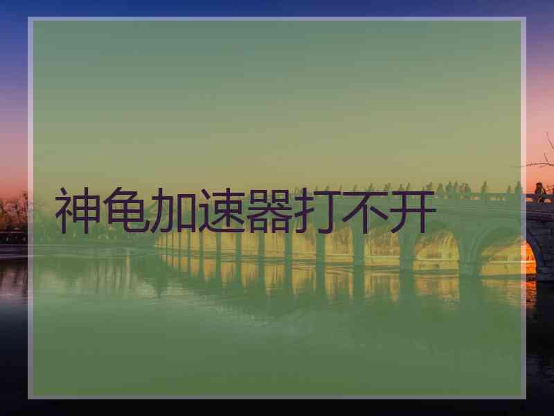 神龟加速器打不开