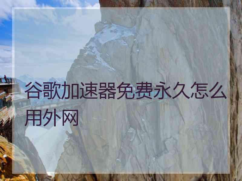 谷歌加速器免费永久怎么用外网