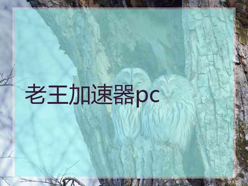 老王加速器pc