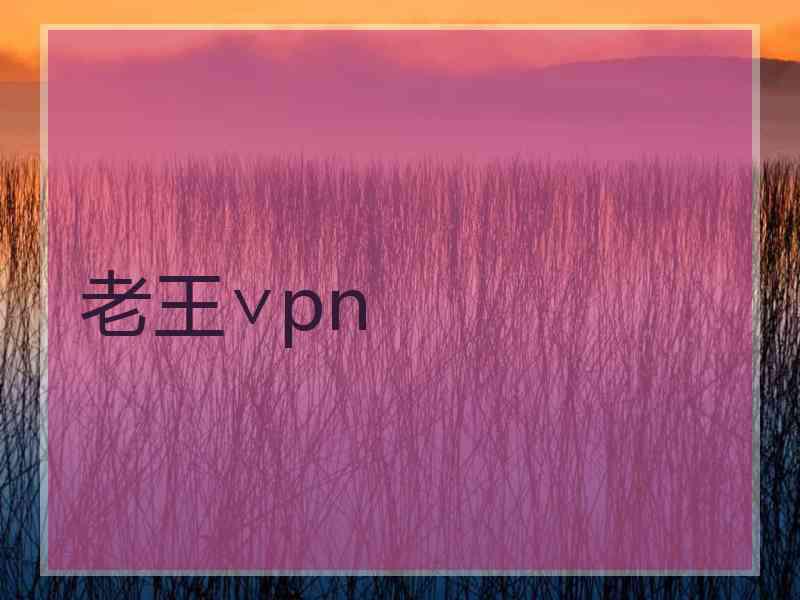 老王∨pn