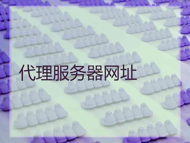 代理服务器网址