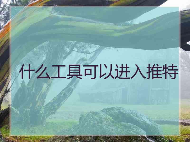 什么工具可以进入推特