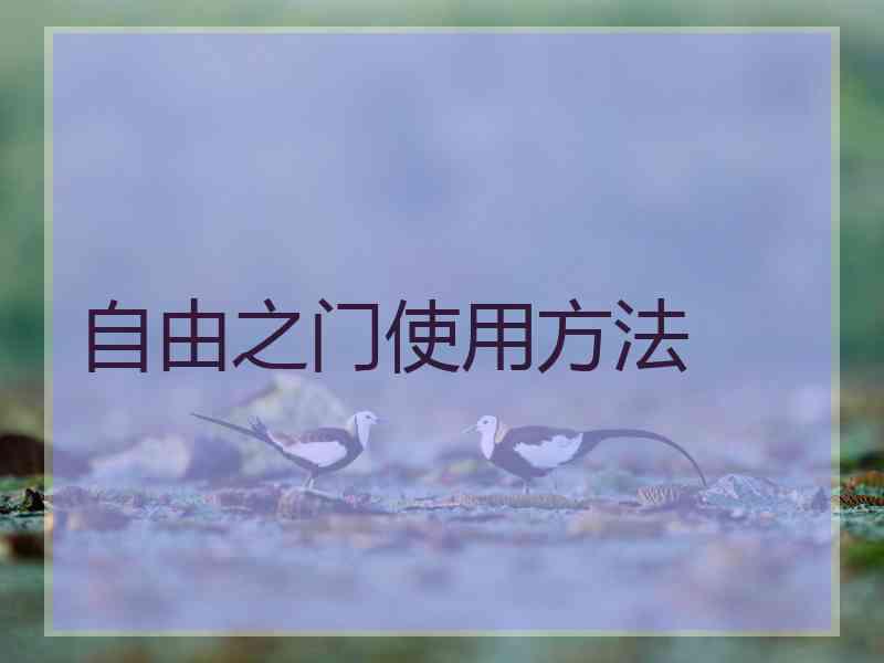 自由之门使用方法