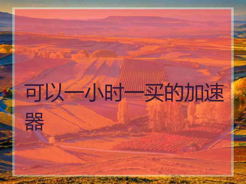 可以一小时一买的加速器