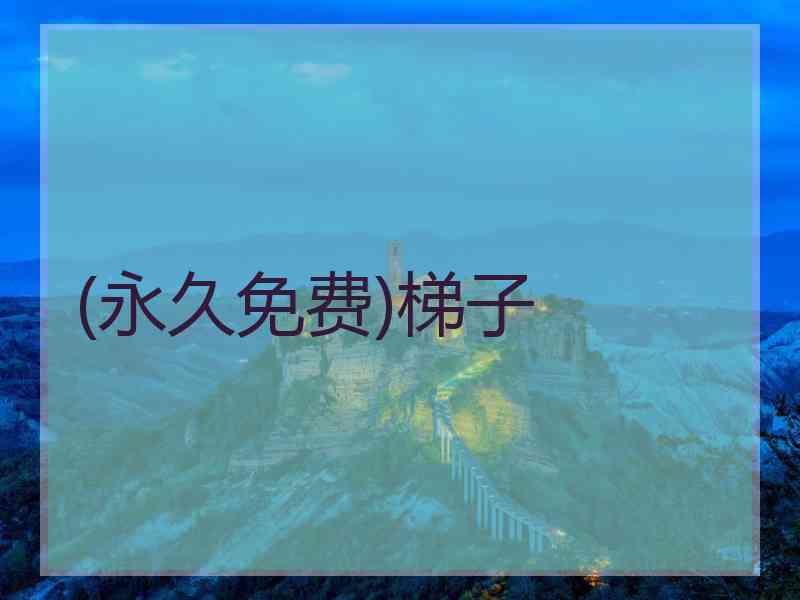 (永久免费)梯子