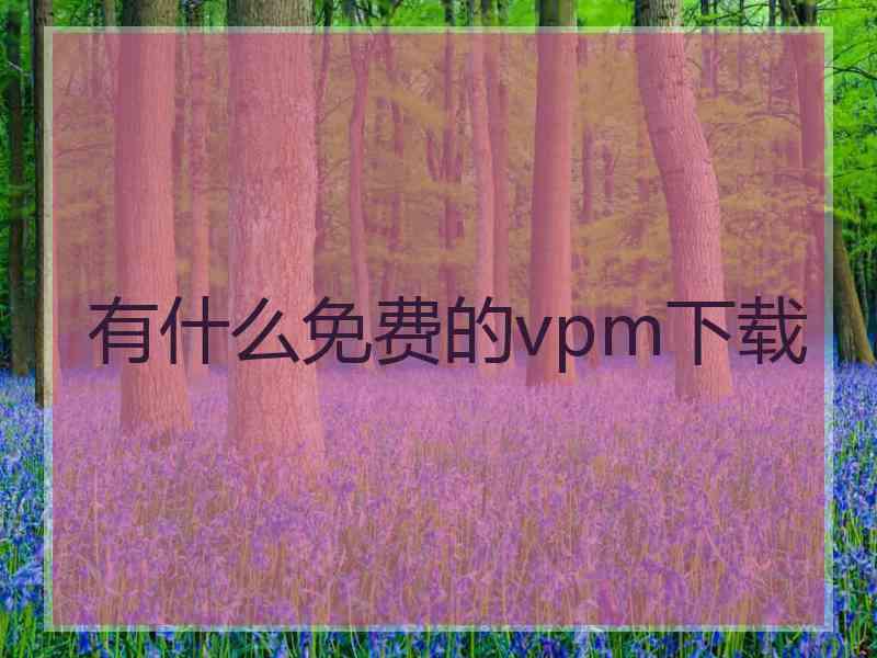 有什么免费的vpm下载