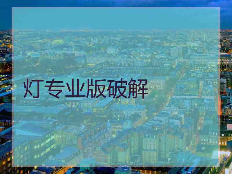 灯专业版破解