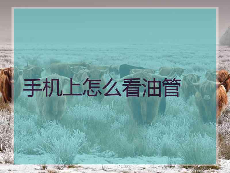 手机上怎么看油管