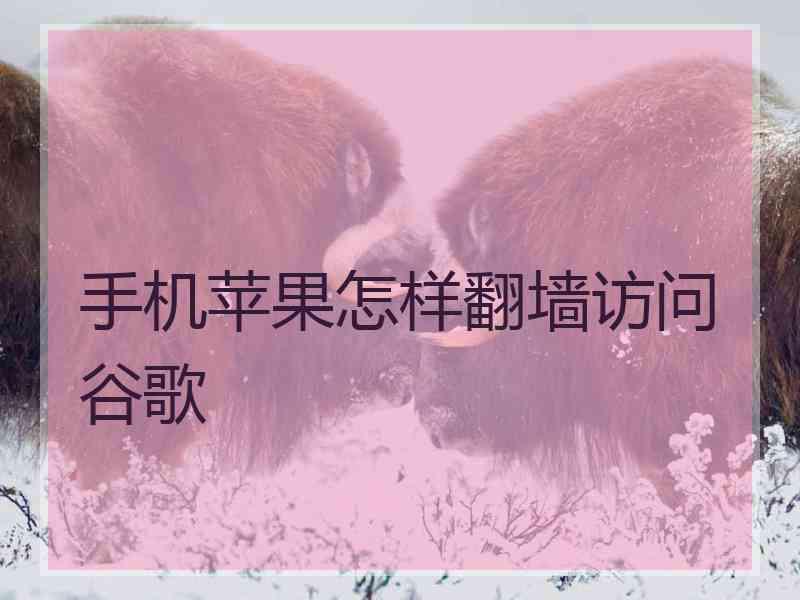 手机苹果怎样翻墙访问谷歌