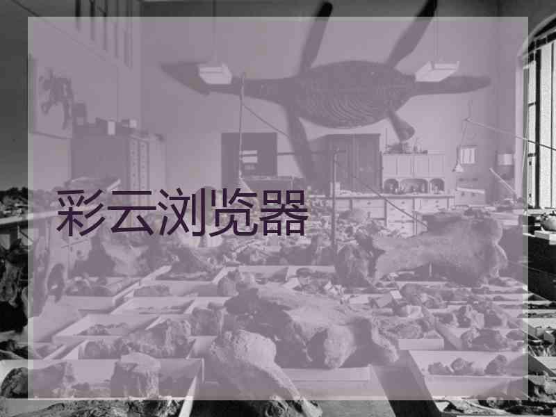彩云浏览器