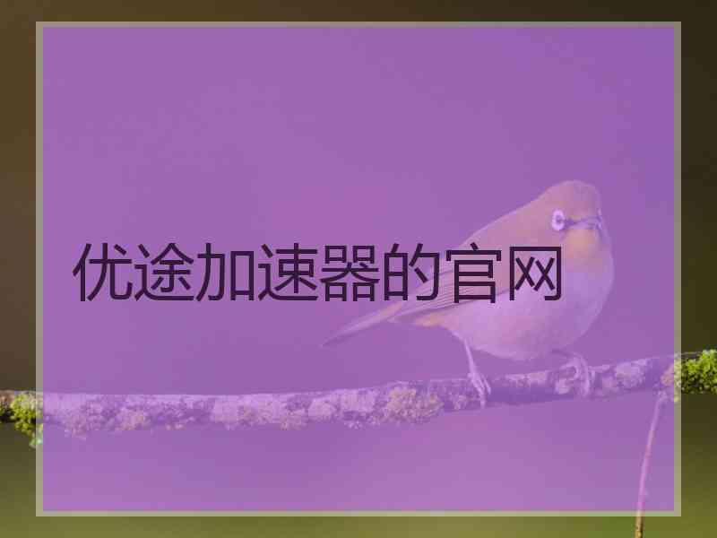 优途加速器的官网