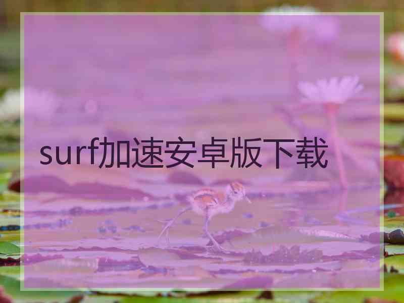surf加速安卓版下载