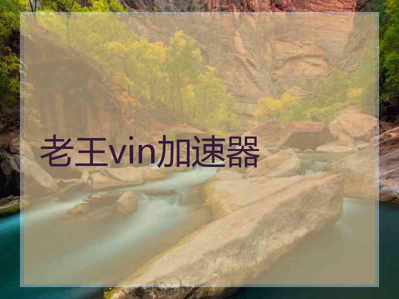 老王vin加速器