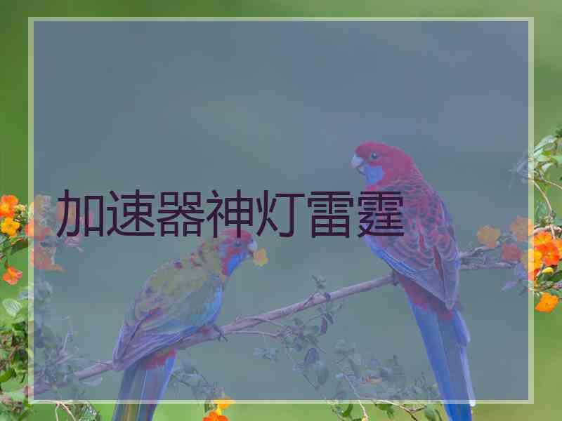 加速器神灯雷霆