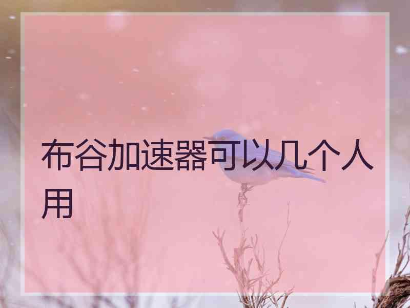 布谷加速器可以几个人用
